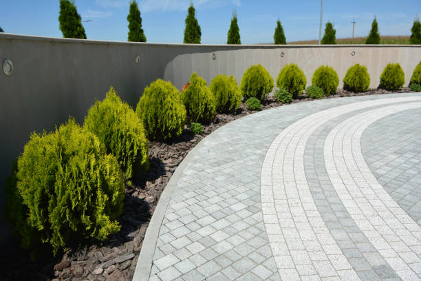 Best Permeable Paver Driveways in Sandy Oaks, TX